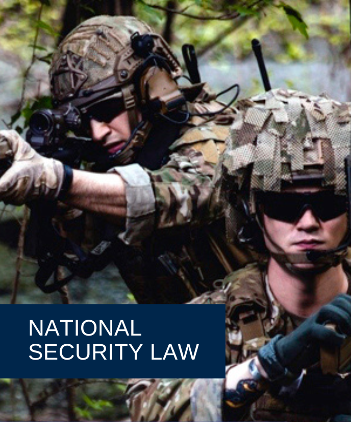 National Security Law